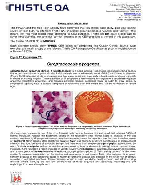 Streptococcus Pyogenes Characteristics