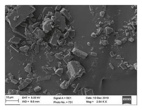 Sem Micrographs Of A Pure Nar B Hpmc Stabilized Nanosuspension