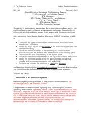 Understanding the Endocrine System: Overview, Hormones, and | Course Hero 