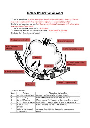 Gcse Ccea Da Science Biology Unit 1 Complete Revision Teaching Resources