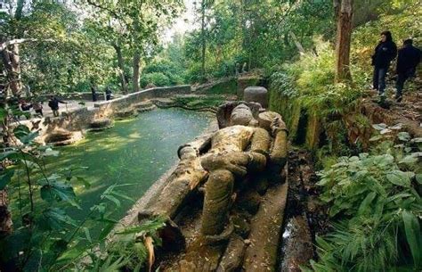 Bandhavgarh National Park Wildlife Tour & Holiday Packages