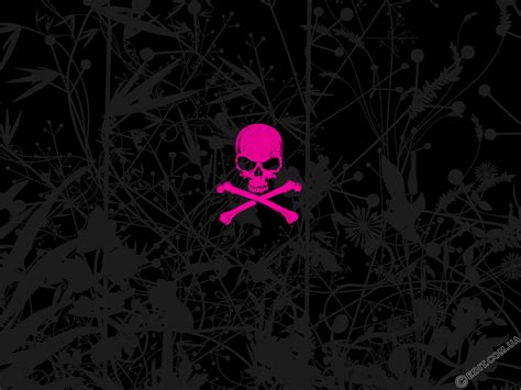 🔥 [70+] Pink Skull Wallpapers | WallpaperSafari