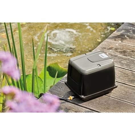 Compresseurs Air Oase Aquaoxy Pour Bassins