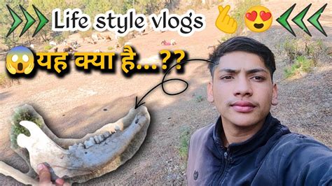 Jangal Mein Jaate Hue Ye Kya Mil Gya Life Style Vlog Viral Vlog