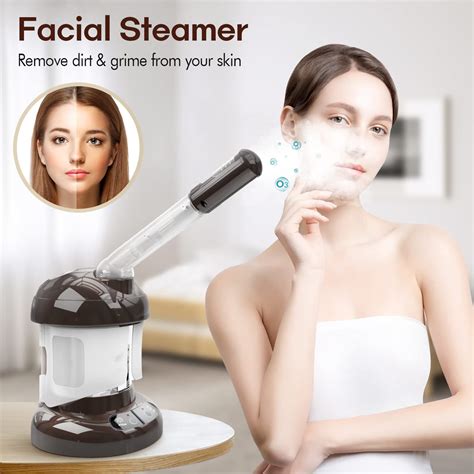 Hair Steamer Kingsteam 2 In 1 Ozone Facial Steamer Design For Personal