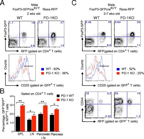 Nonoverlapping Roles Of Pd 1 And Foxp3 In Maintaining Immune Tolerance