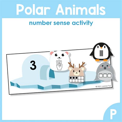 Polar Region Animals 5