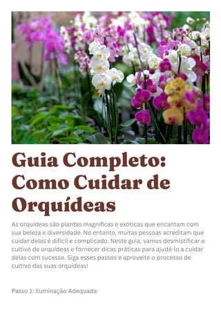 Como Cuidar De Orquideas 10 Dicas PDF