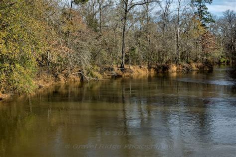 Piney Woods Map - Texas - Mapcarta