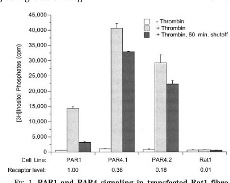 Figure 2 From Protease Activated Receptors 1 And 4 Are Shut Off With