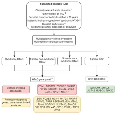 Cardiogenetics Free Full Text Genetics Of Heritable Thoracic Aortic