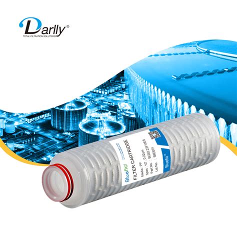 Darlly Pae Series Pes Polyethersulfone Pes Membrane Pleated Filter