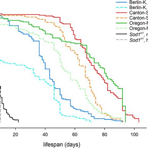 Kaplan Meier Survival Curves Survival Curves For Three Wild Type