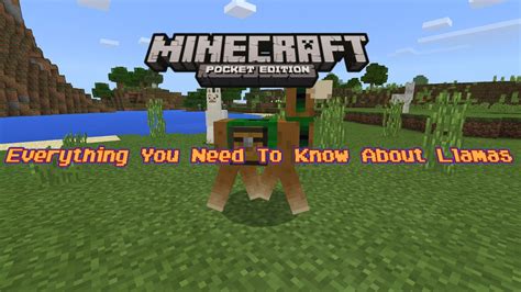 The Full Llama Guide Minecraft Pe Youtube