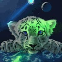 Leopard GIF - Find & Share on GIPHY