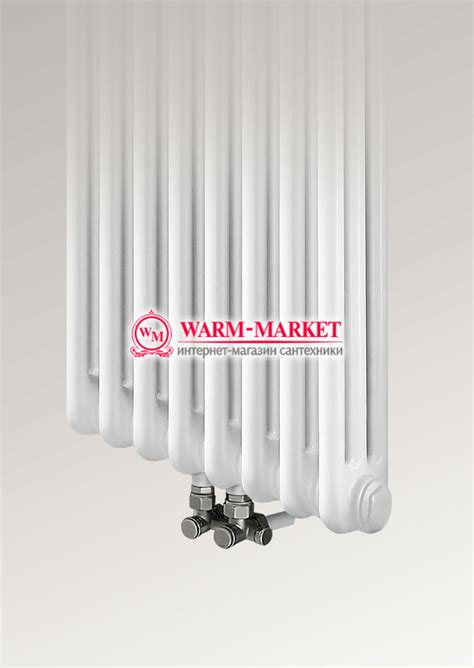 Вертикальный трубчатый радиатор Dia Norm 2180-10 секций, двухтрубный с ...