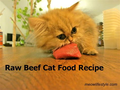 Easy Healthy Raw Beef Cat Food Recipe Click Through To See My Recipe And Step By Step Process