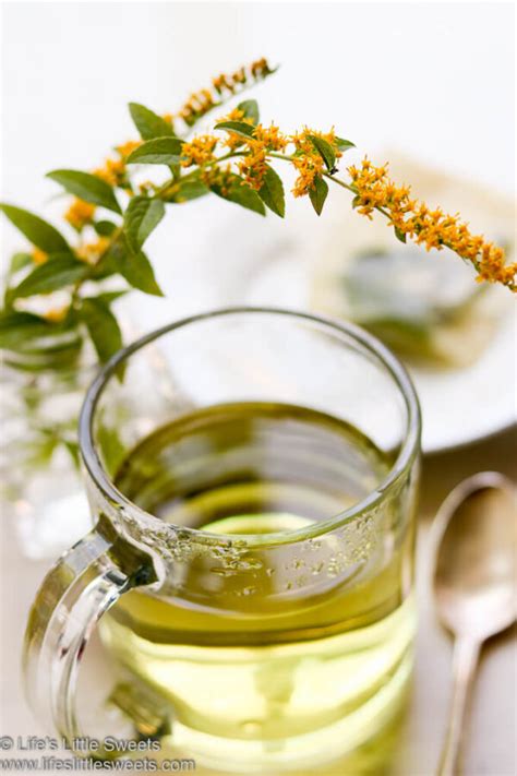 goldenrod tea recipe    lifes  sweets