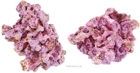 Live Rock, Dry Rock, and Coralline Algae For Sale - Free Shipping