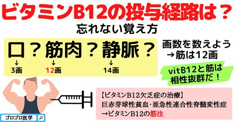 ビタミンb12欠乏症・コバラミンの覚え方・ゴロ【cbt国試対策】 ゴロゴロ医学