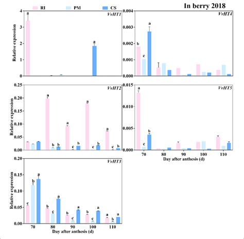 The Relative Expression Levels Of Hexose Transporter Genes VvHTs In