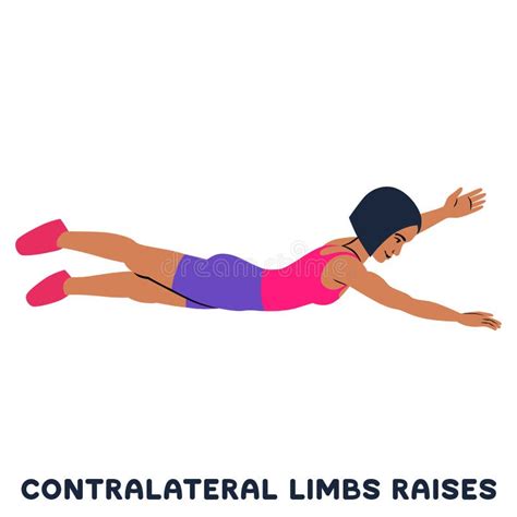 Contralateral Limbs Raises. Sport Exersice. Silhouettes of Woman Doing Exercise Stock ...