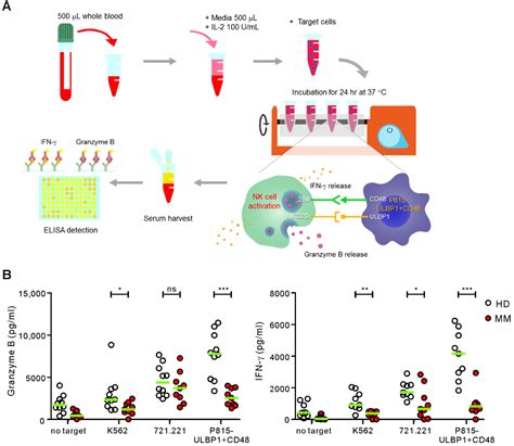 Assessment Of Nk Cell Activity Based On Nk Cell Specific Receptor