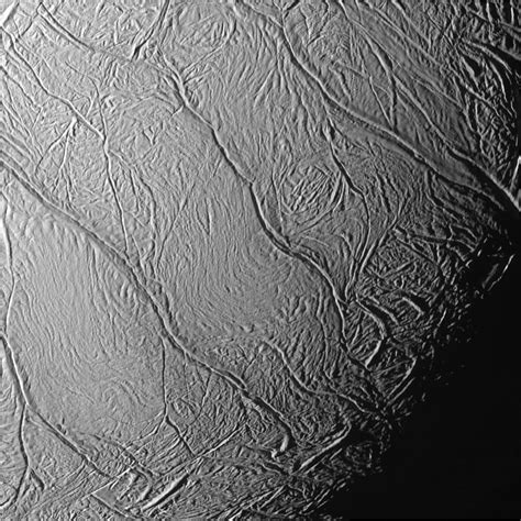 If we want to find life on Saturn's moon Enceladus, we need to rule out Earthly hitchhikers | Space