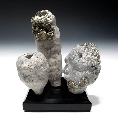 FOSSIL SPONGES SEA SPONGE PHYMATELLA FOSSILS PREHISTORIC MARINE ...