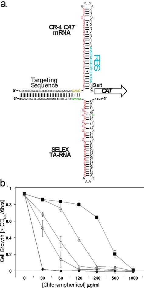 Figure 6 From Tunable Riboregulator Switches For Post Transcriptional