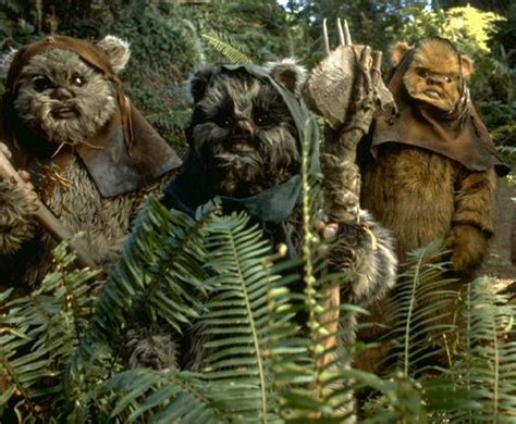 Ewok Wookieepedia The Star Wars Wiki