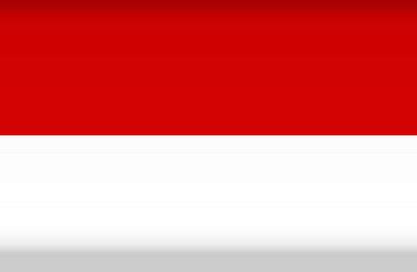 Flag of indonesia official colors flat Royalty Free Vector