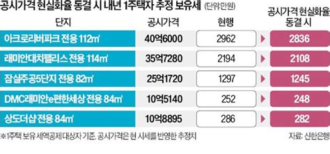 공시가 현실화율만 동결돼도내년 보유세 부담 수십만원 줄어 네이트 뉴스