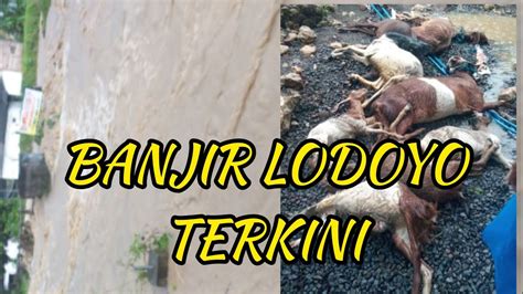 BANJIR LODOYO BLITAR Terkini Banjirlodoyo Realiti Fakta Viral2022 YouTube