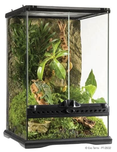 Exo Terra Mini Tall Terrarium 30 X 30 X 45 Cm