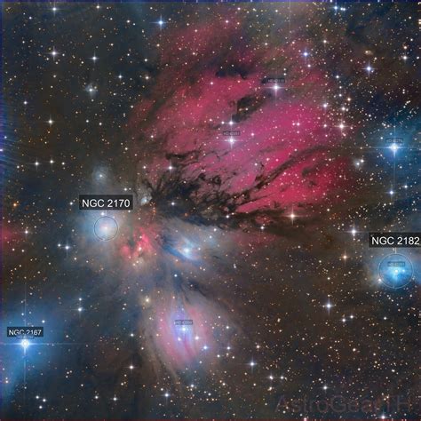 NGC 2170, Angel Nebula ( AstroGearTH ) - AstroBin