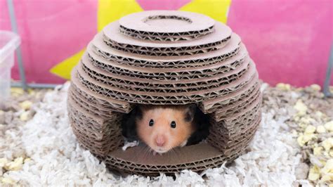 Hamster House Diy