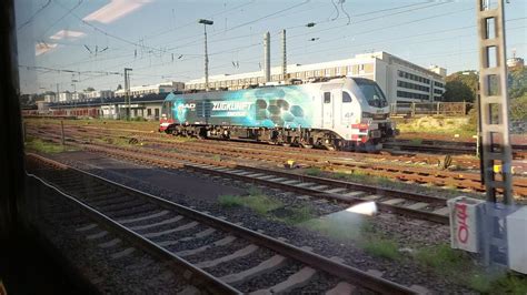 Einfahrt Am Mainzer Hauptbahnhof Feat Stadler Eurodual Youtube