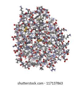 Trypsin Human Digestion Enzyme Molecule Trypsin Stock Illustration