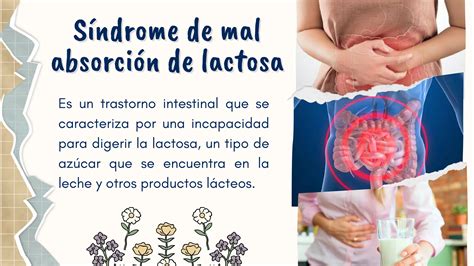 Tipos de mal absorción gastrointestinal pdf Descarga Gratuita