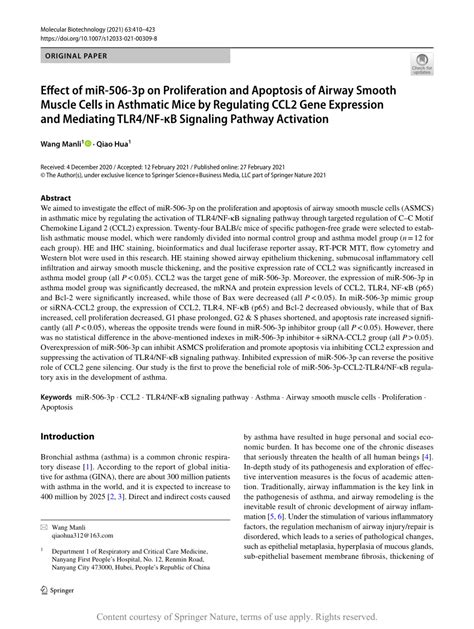 Effect Of MiR 506 3p On Proliferation And Apoptosis Of Airway Smooth