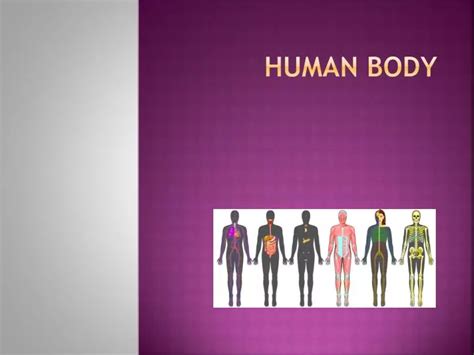 Ppt Human Body Powerpoint Presentation Free Download Id 2133978