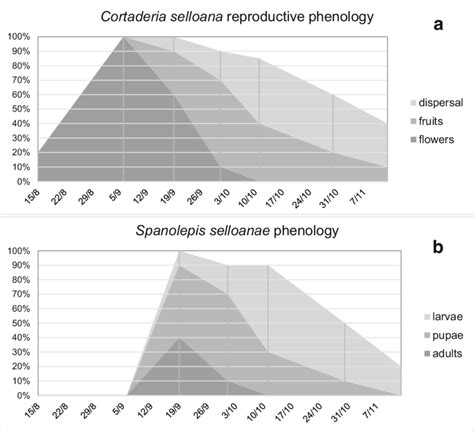 Reproductive phenology of female plants of C. selloana (A) and ...