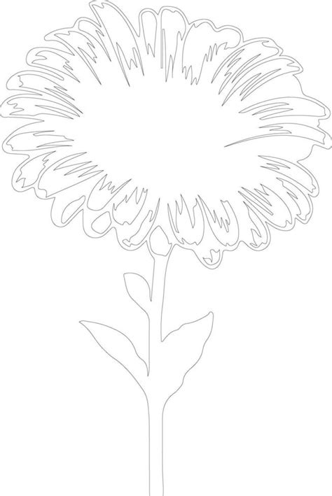 Ai Generated Gerbera Daisy Outline Silhouette 40542138 Vector Art At