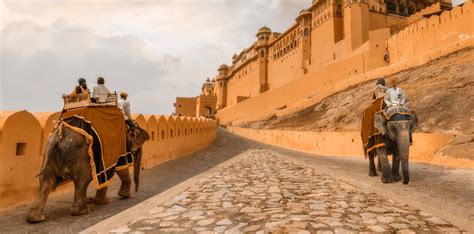 Rajasthan Travel Package Tourism Trip Tour Operator Travel Planner