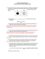 Lab 7 Cell Division Exercise Using Socks As Chromosomes 2020 Docx