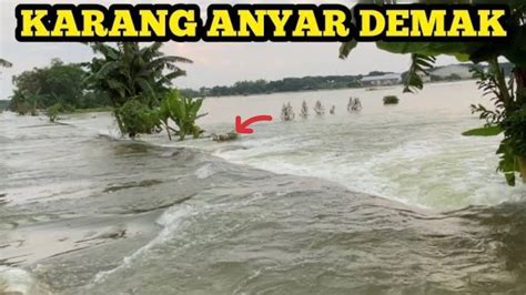 LIPUTAN KARANGANYAR DEMAK BANJIR DI WONORENGGO KARANGANYAR DEMAK