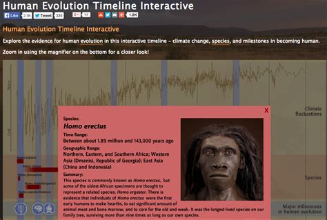 World History Teachers Blog: Human Evolution Timeline