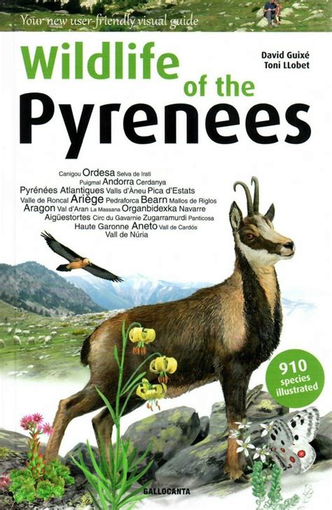 Wildlife in the Pyrenees - nature guidebook