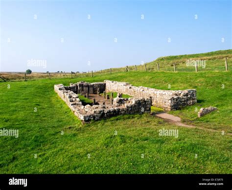 Temple Of Mithras Carrawburgh On Hadrian S Wall Beside The Hadrian S